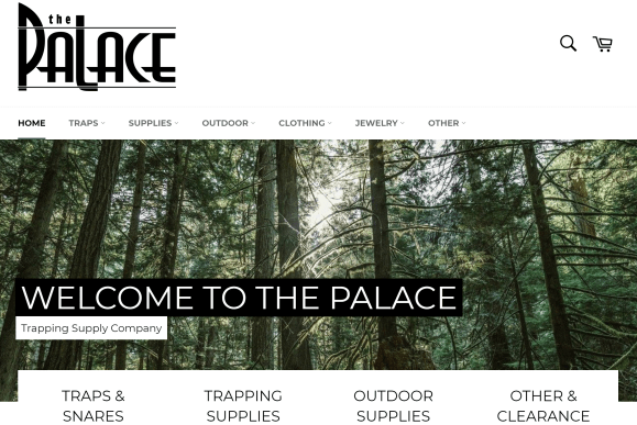 The Palace website header