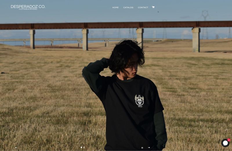 Desperadoz website header